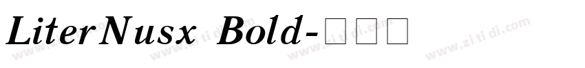 LiterNusx Bold字体转换